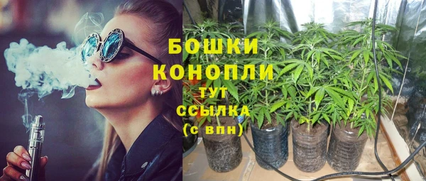 стафф Аркадак