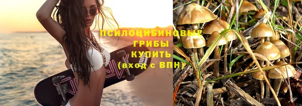 твердый Армянск