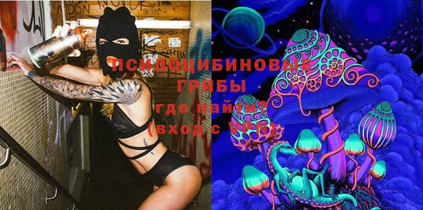 дмт Нефтекумск